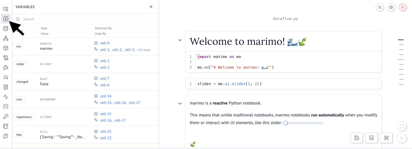 Variables panel showing variable relationships